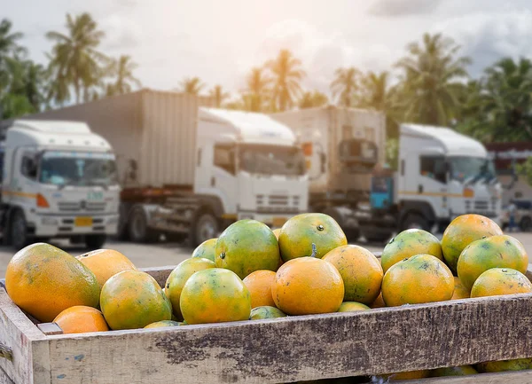 Orange Fruit and food distribution, tropical fruit of Thailand .