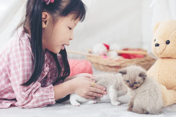 Menina brincando com gato em casa, conceito de navio amigo . — Fotografia de Stock