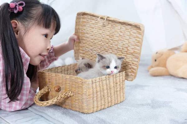 little girl playing with cat at home, friend ship concept.