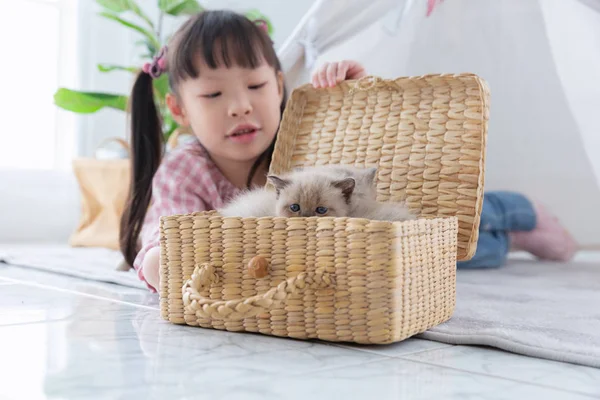 Kleines Mädchen spielt zu Hause mit Katze im Holzkorb, Freundin — Stockfoto