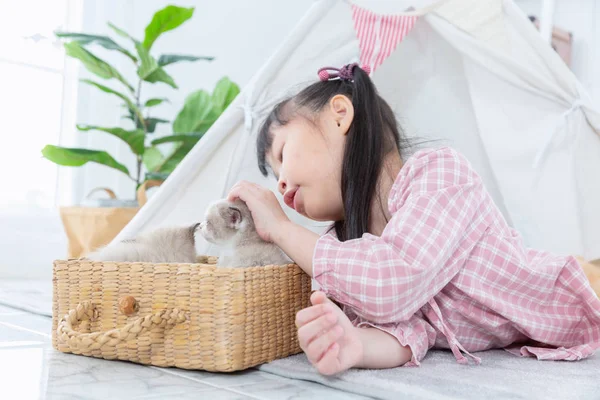 Menina brincando com gato na cesta de madeira em casa, amigo — Fotografia de Stock