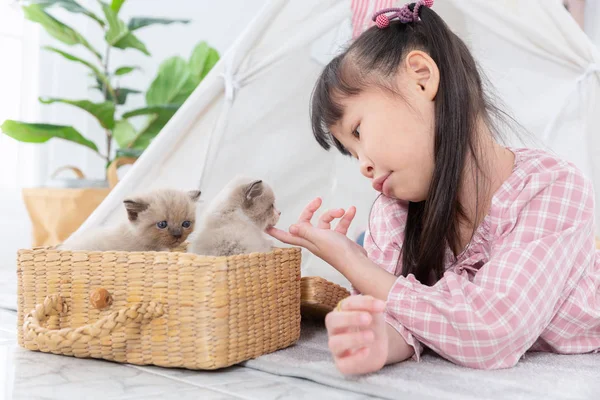 Little girl playing with cat at home, friend ship concept.