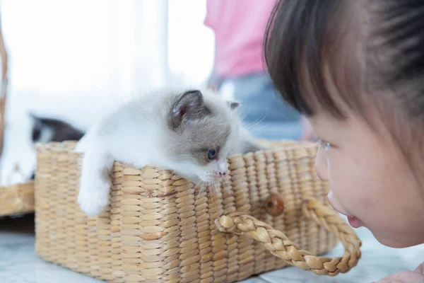 Mała dziewczynka gra patrząc na oko z kotem w domu, przyjaciel — Zdjęcie stockowe