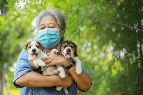 保護マスクと彼女の子犬犬とシニアアジア女性の肖像画は 公園で遊んでいます ウイルスを保護するための新しい通常のスタイル ロイヤリティフリーのストック画像