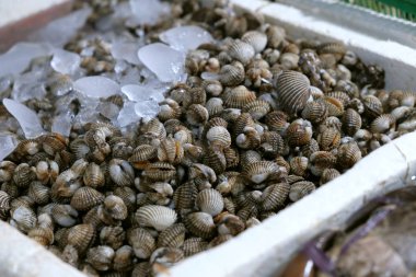 balık pazarında kabuklu deniz ürünleri organik sağlıklı gıda doğal protein