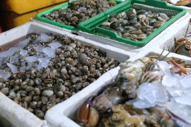 balık pazarında otantik Bali pazar kabuklu deniz ürünleri organik sağlıklı gıda doğal protein