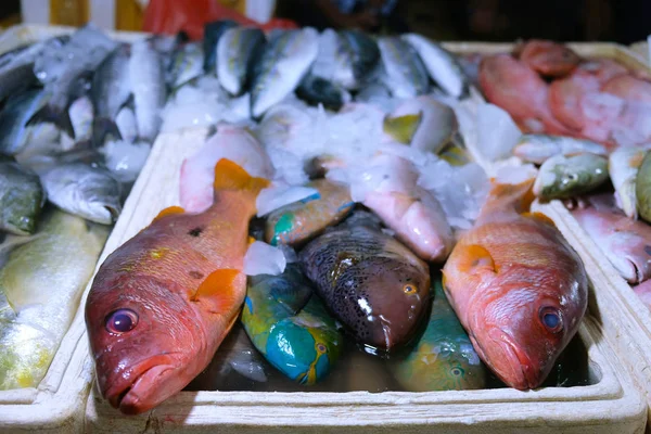 Vers Gevangen Gekleurde Tropische Vissen Teller Van Vismarkt — Stockfoto