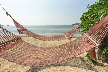 Hamak deniz ve mavi gökyüzü arka plan ile tropik sahilde palm gölgesinde.