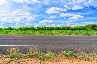 Asfalt yol kenarı manzarası ve kırsal alan.