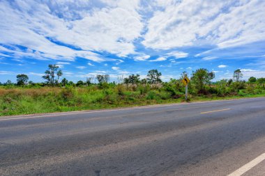 Asfalt yol kenarı manzarası ve kırsal alan.
