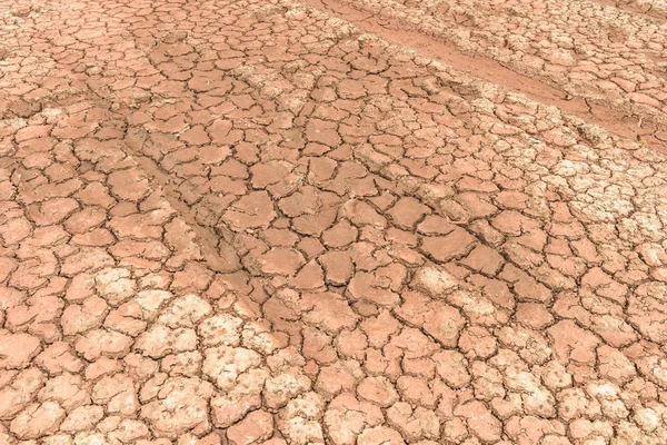 Land Dry Cracked Ground — Stock Photo, Image