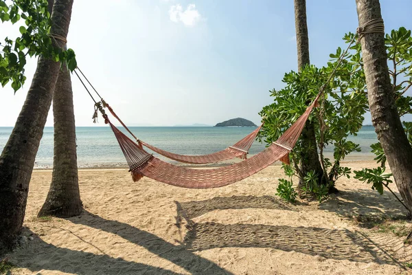 Hängematte Schatten Der Palme Tropischen Strand Mit Blauem Himmel — Stockfoto