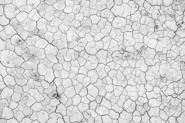 Black White Image Crack Soil Texture Background — Stock Photo, Image