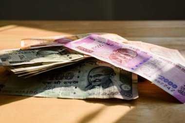 Hint Rupisi banknotlar yakın çekim