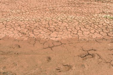 toprak zemin kuru ve kırık.