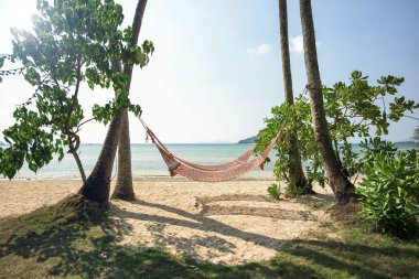 Hamak deniz ve mavi gökyüzü arka plan ile tropik sahilde palm gölgesinde.