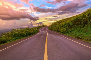 Mae Hong Son il, Tayland at günbatımı gökyüzü için Meksika ayçiçeği çiçek alan aracılığıyla boş asfalt yol.