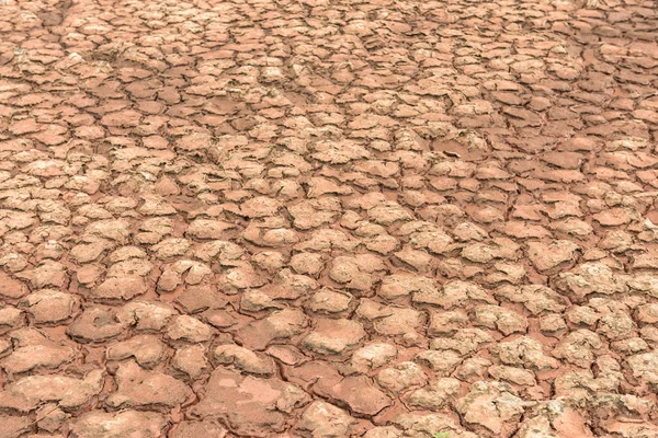 Land Dry Cracked Ground — Stock Photo, Image