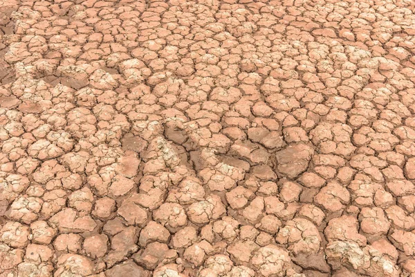 Land Dry Cracked Ground — Stock Photo, Image