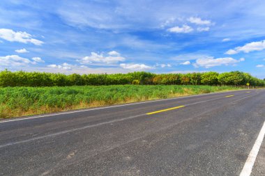 Asfalt yolu ve mavi gökyüzü ile kırsal alan.