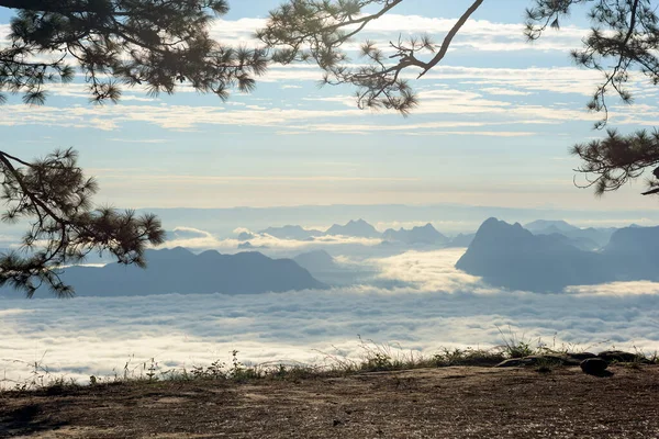 Vista Cima Montaña Del Paisaje Del Amanecer Selva Tropical — Foto de Stock