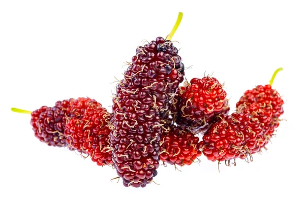 Frutas Orgánicas Morera Aisladas Sobre Fondo Blanco — Foto de Stock