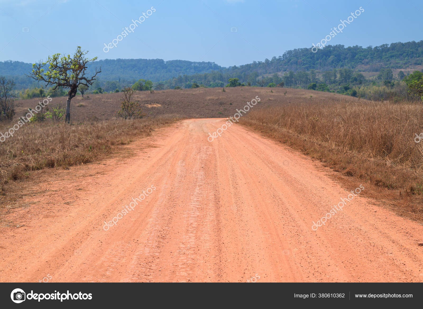 Pemandangan Jalan Tanah Pedesaan Dengan Langit Biru Stok Foto C Yotrak3 380610362