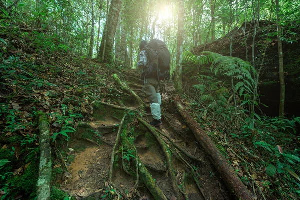 Hombre Con Equipo Senderismo Caminando Bosque Montaña Tailandia — Foto de Stock