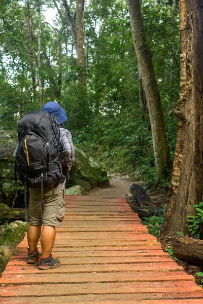 Randonnées Solitaire Sur Sentier Forêt Profonde — Photo