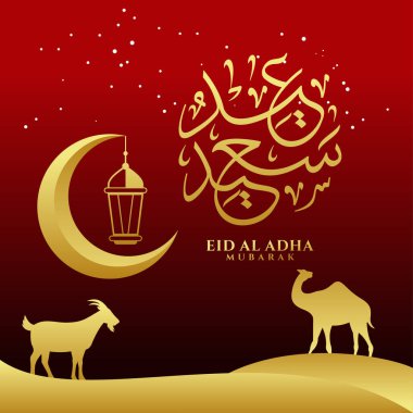 Arapça Mübarek Kurban Kaligrafi Vektörü