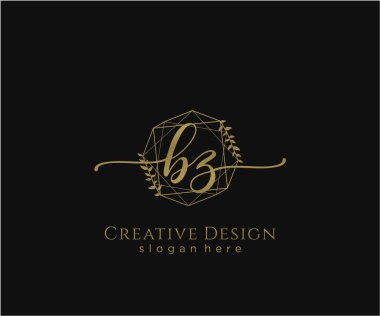 BZ ilk el yazısı logosu tasarımı. Moda, fotoğrafçılık, düğün, güzellik, iş dünyası logosu.