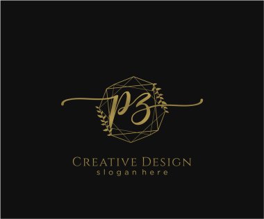PZ ilk el yazısı logosu tasarımı. Moda, fotoğrafçılık, düğün, güzellik, iş dünyası logosu.