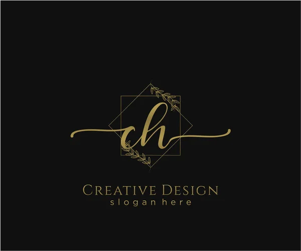 Initiale Handschrift Logo Design Logo Für Mode Fotografie Hochzeit Schönheit — Stockvektor
