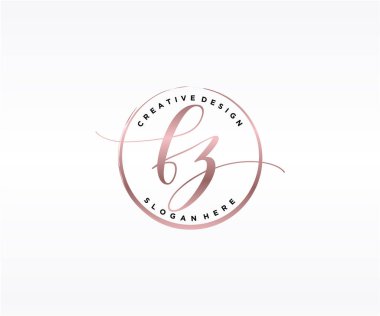 FZ ilk el yazısı logosu tasarımı. Moda, fotoğrafçılık, düğün, güzellik, iş dünyası logosu.