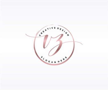 VZ ilk el yazısı logosu tasarımı. Moda, fotoğrafçılık, düğün, güzellik, iş dünyası logosu.