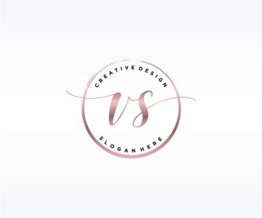 VS İlk El yazısı Logosu Tasarımı. Moda, fotoğrafçılık, düğün, güzellik, iş dünyası logosu.