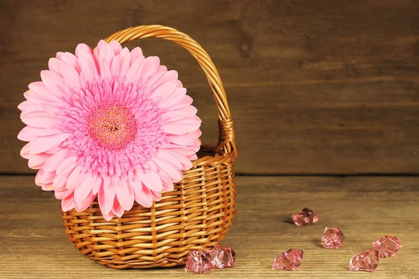 Pink Gerbera Wicker Basket Decorative Plastic Pebbles Wooden Background — Stock Photo, Image