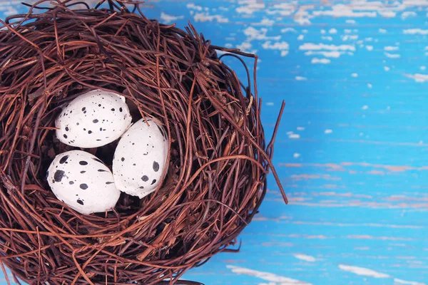 Nest with three eggs in detail — Stock Photo, Image