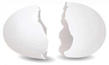 Kırık Yumurta kabuğu - İllüstrasyon