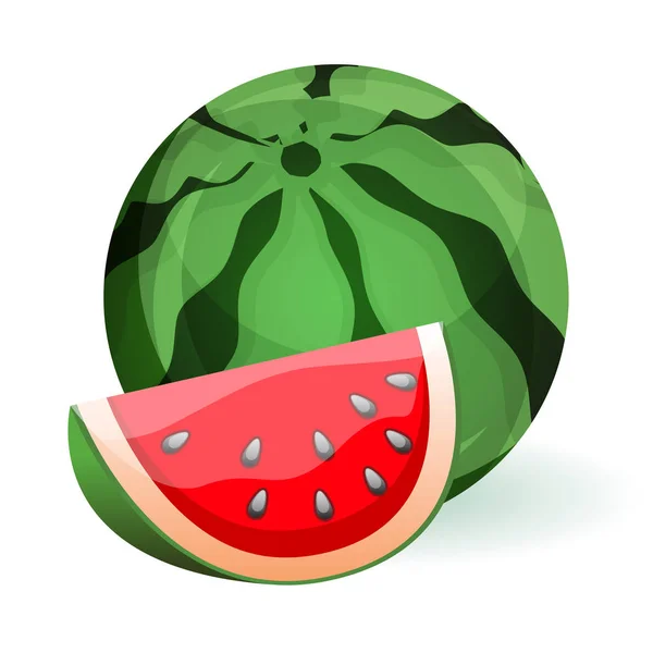 Watermelon Fruit Stock ilustração — Vetor de Stock