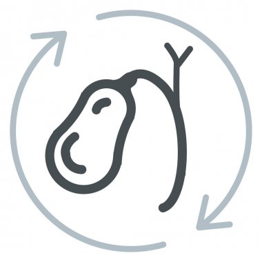 Gall Bladder Icon  clipart