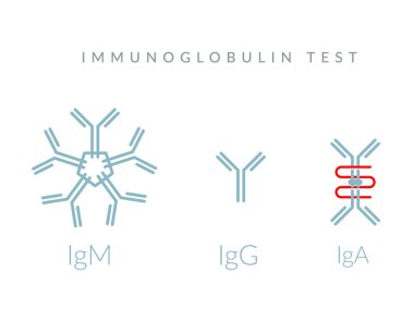 İmmünoglobülin Testi - Kompleks Protein - EPS 10 dosyası olarak Simge