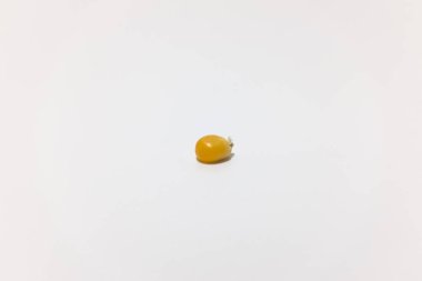 Kuru patlamış mısır.