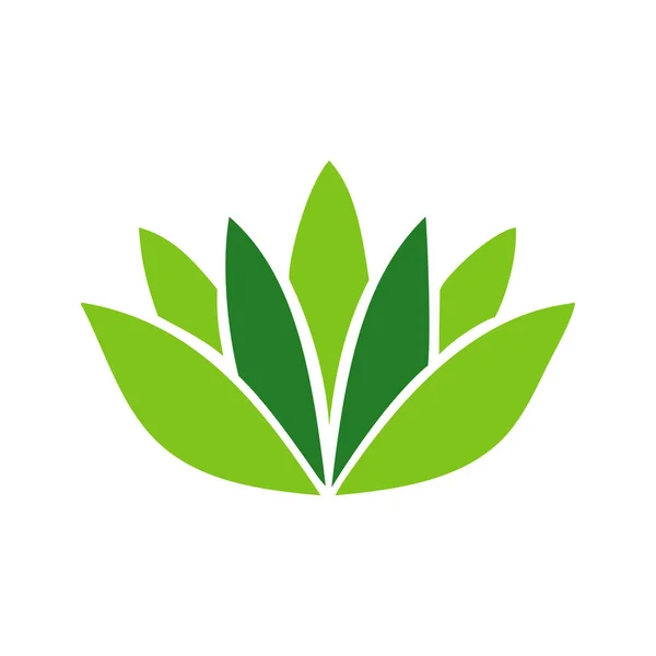 Design de modelo de vetor de logotipo de flor de lótus cuidados de beleza — Vetor de Stock