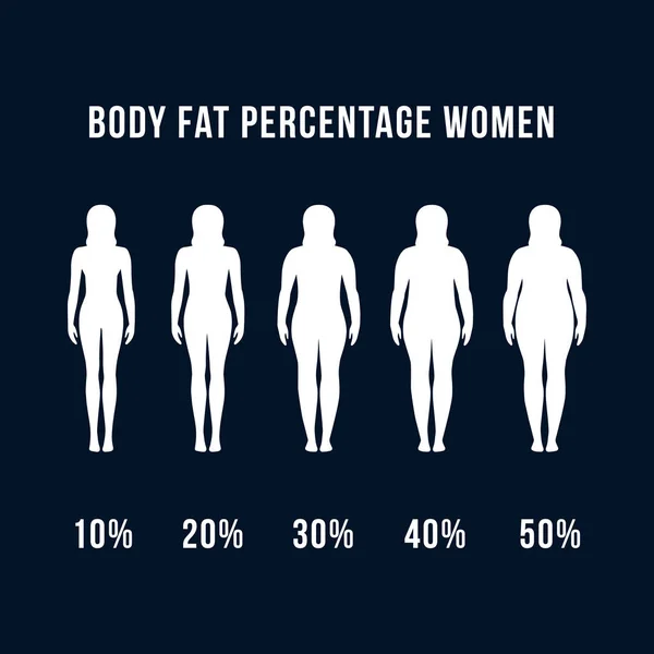 Body fat percentage Vector Art Stock Images | Depositphotos