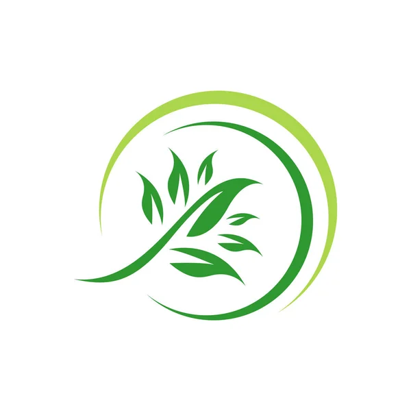 녹색 잎 환경 친화적 인 로고 디자인 벡터 아이콘 일러스트 — 스톡 벡터