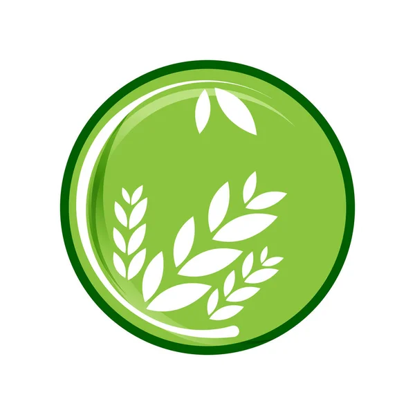 Çember Şekil Vektör Elementi Üzerinde Basit Modern Yeşil Yaprak Logosu — Stok Vektör