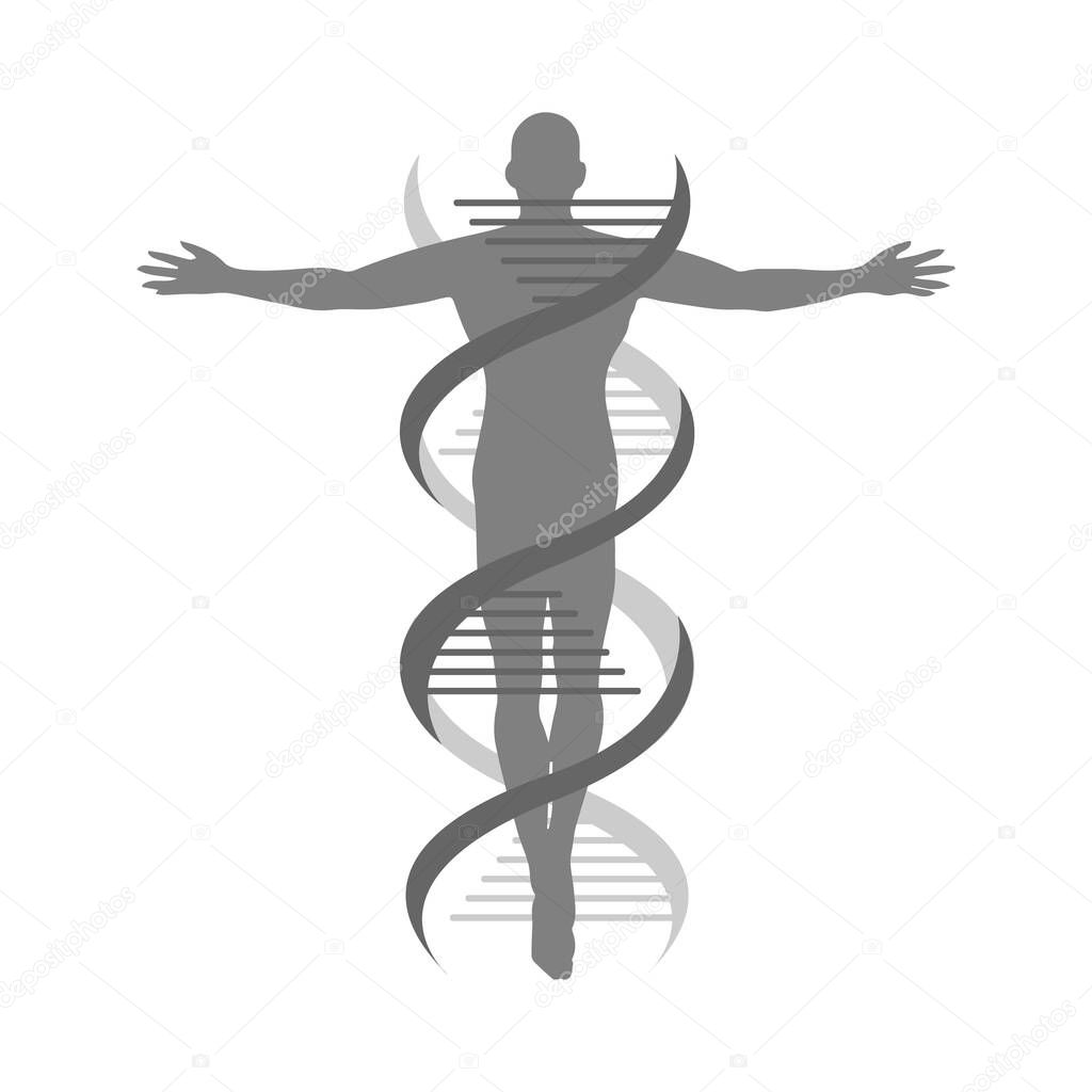 the combination icon of helix strand DNA human logo vector isolated on white background