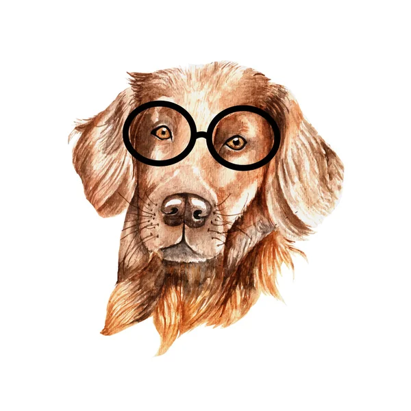 Kutya akvarell illusztráció napszemüveg — Stock Vector