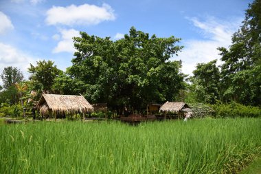 Kanchanaburi, Tayland, 09.09.2019: Güzel bahçe, göl, geleneksel Tay, Siyam giysileri, 